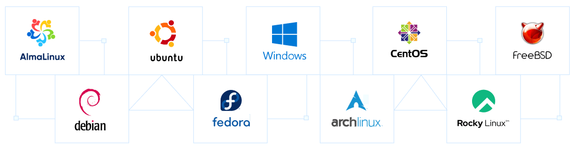 Your choice of operating system | MilesWeb India