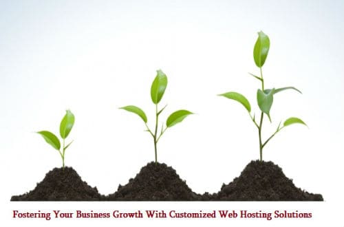 business, business growth, web hosting solution