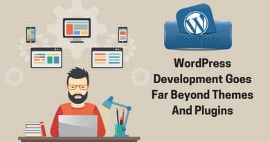 wordpress-development-goes-far-beyond-themes-and-plugins-min