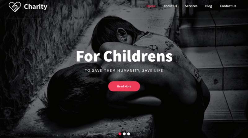 pin charity wordpress theme