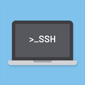 use only ssh