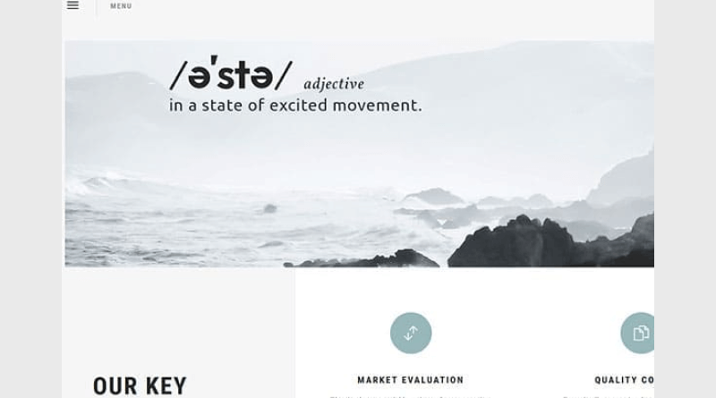 astir wordpress themes for artists