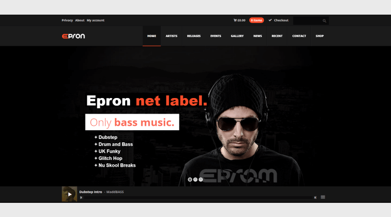 epron wordpress themes for artists