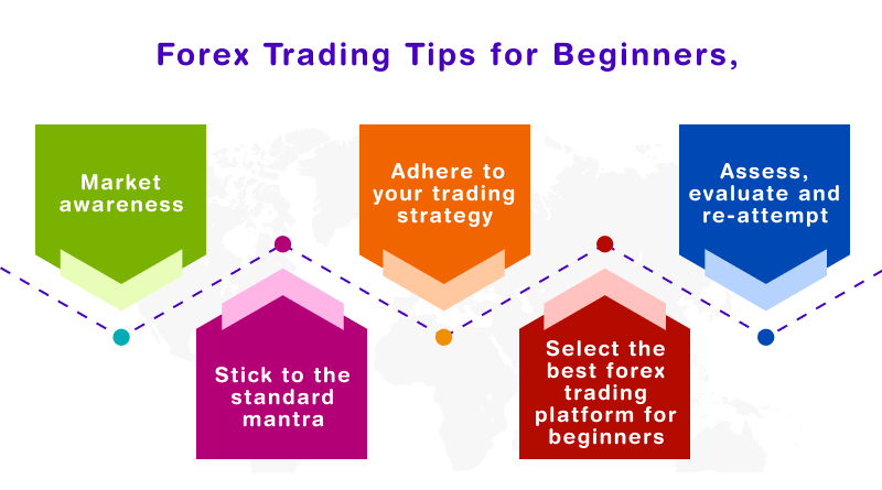 Forex Trading Tips for Beginners