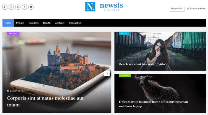 Newsis