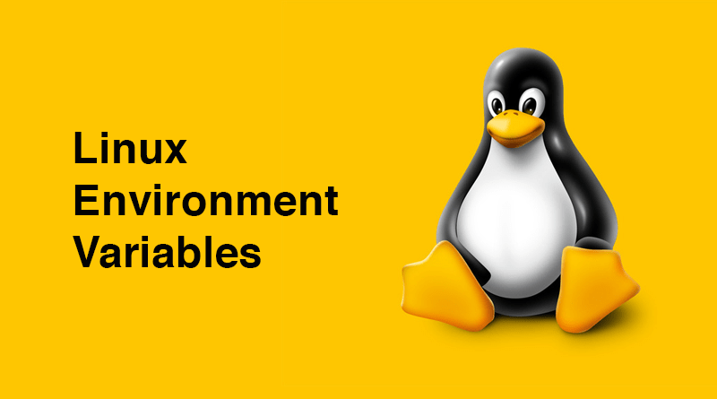 Linux Environment Variables Learn How To Read And Set On A Linux VPS 