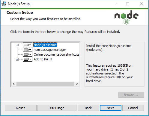 customize the nodejs setup